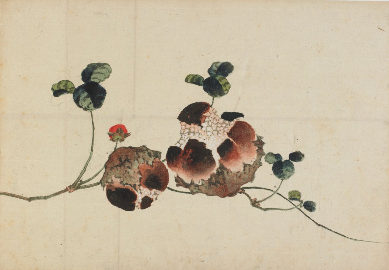 Nar, 18. yüzyılın sonu ve 19. yüzyılın başı. by Katsushika Hokusai