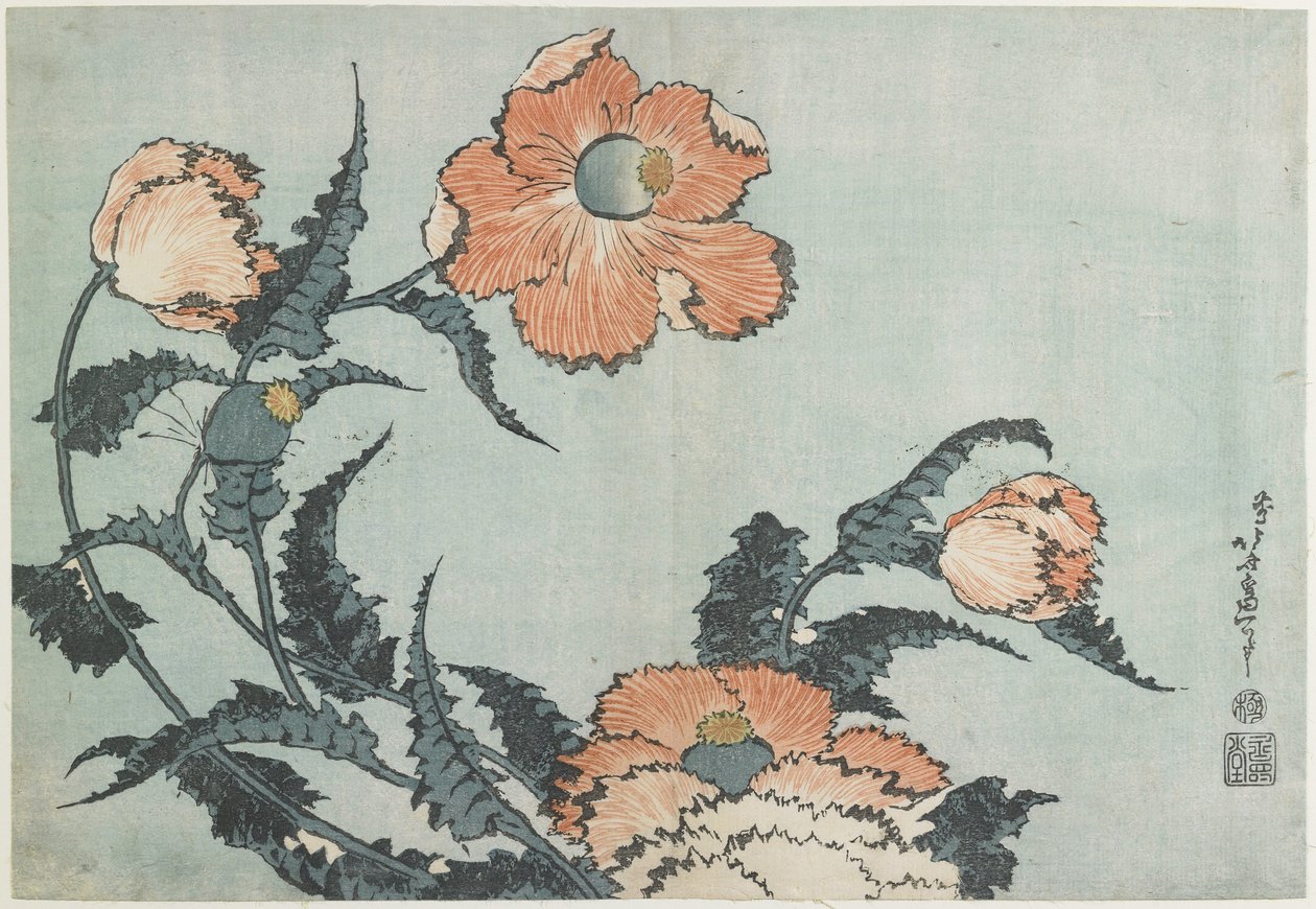 Papatya, c. 1832 by Katsushika Hokusai