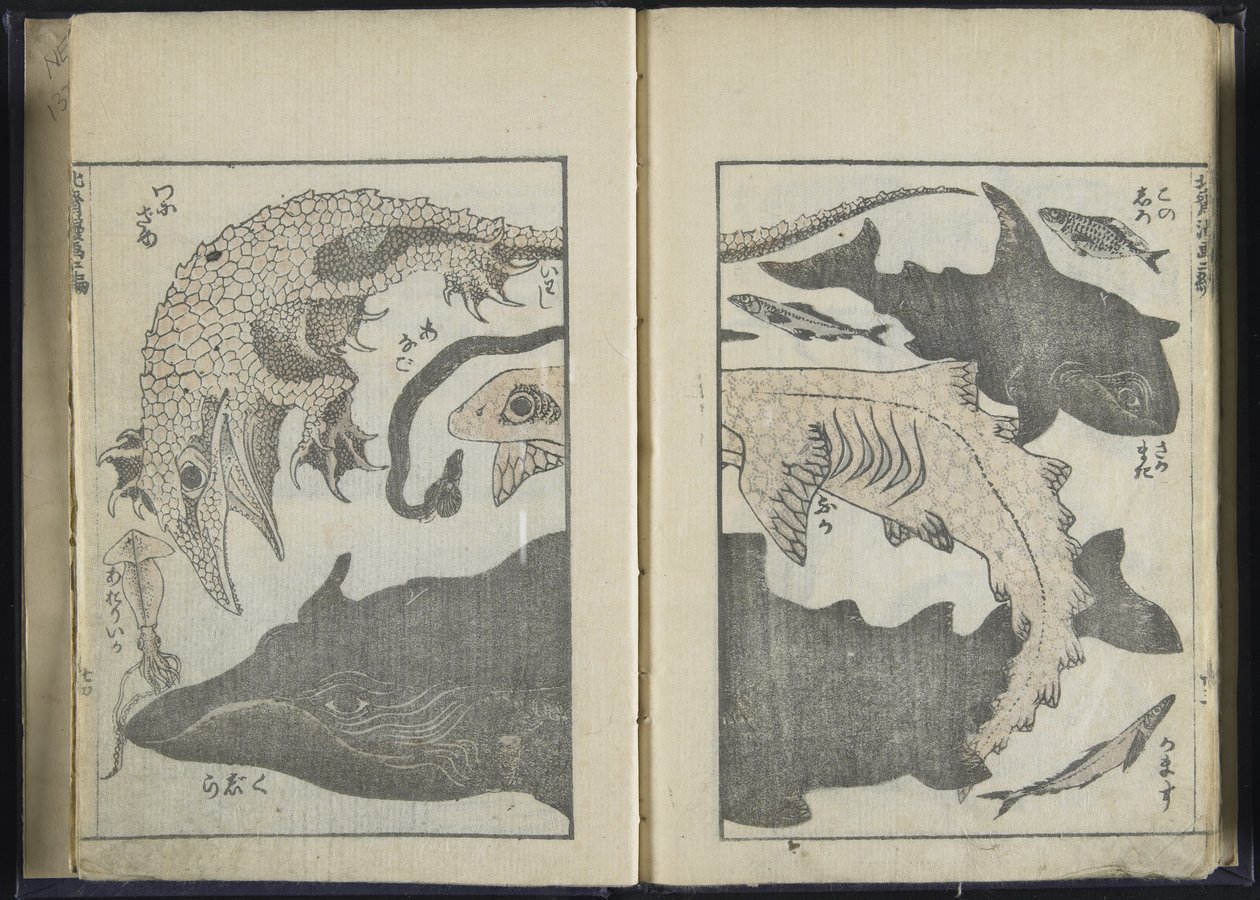 ಸ್ಕೆಚ್ಬುಕ್ (ವುಡ್ಬ್ಲಾಕ್ ಪ್ರಿಂಟ್)ಟರ್ಕ್ by Katsushika Hokusai