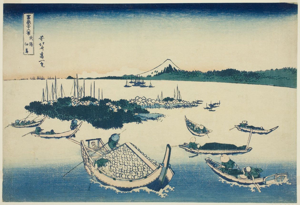 Tsukudajima üyesi Musashi P Rovinse (Gnat Tsukudajima), teserie