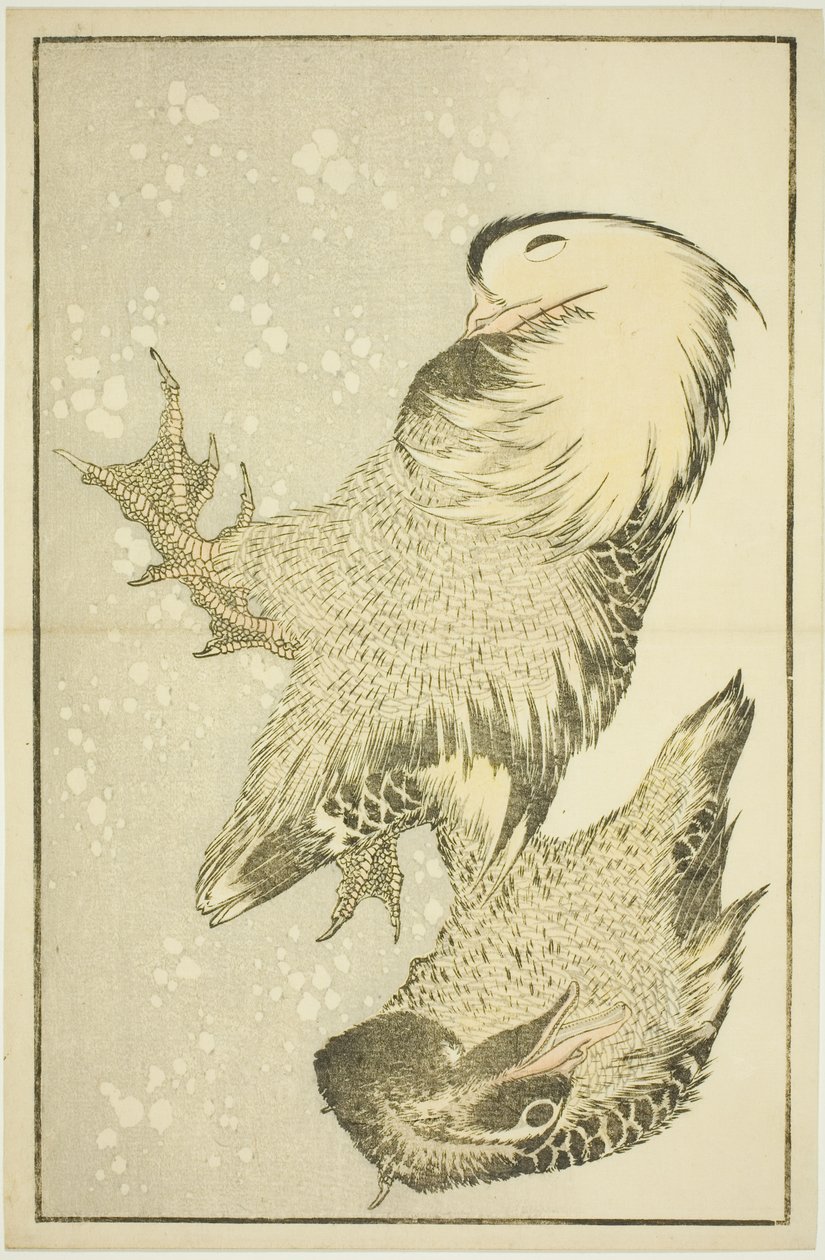 Hokusai