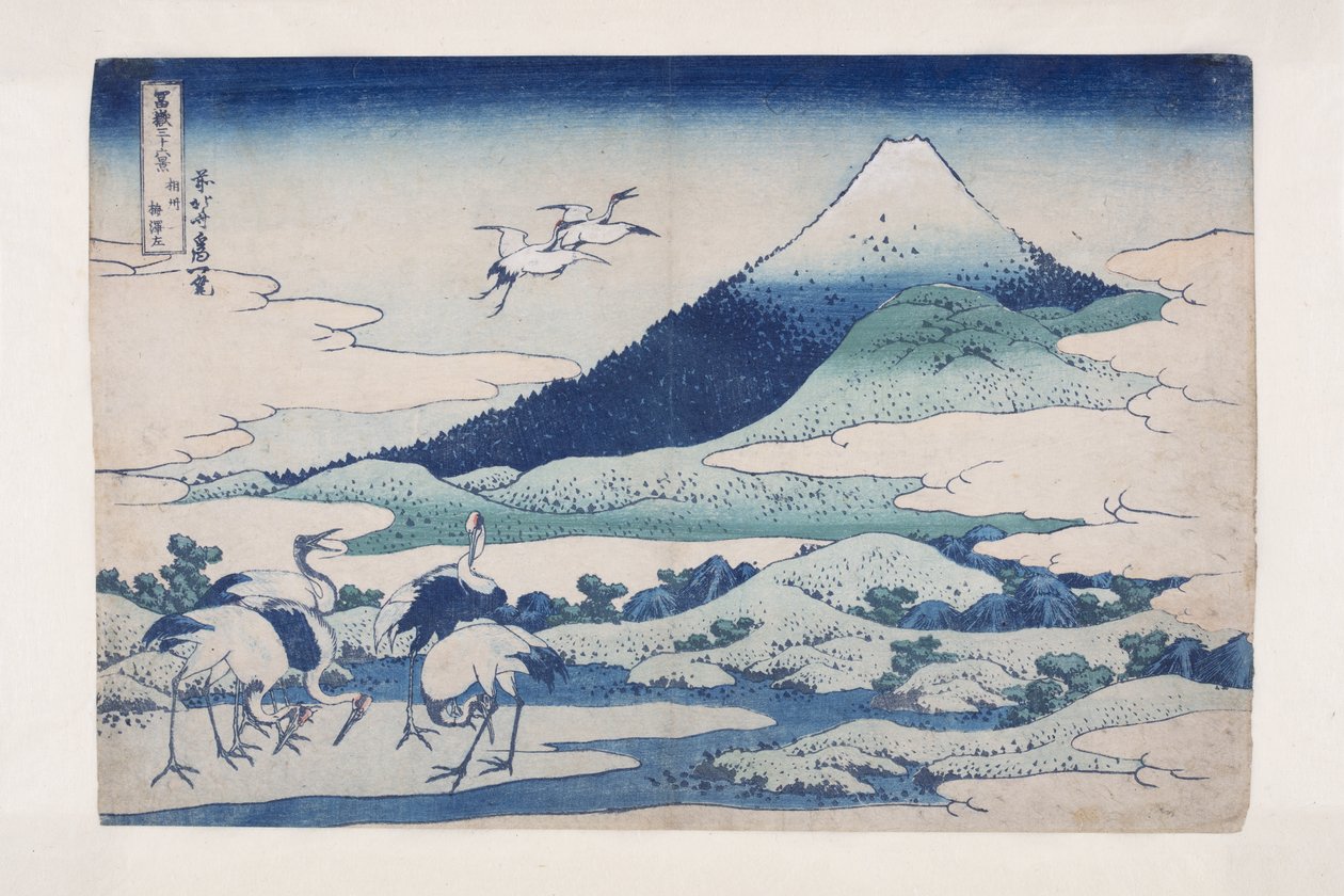 Umezawa Manor in Sagami Province (S?sh? umezawa hidari) (colour woodblock print) by Katsushika Hokusai