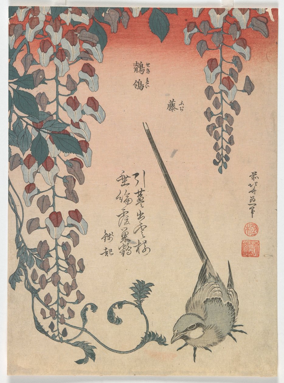 Kuyruksallayan ve Wisteria, Edo dönemi, 1834 (renkli tahta baskı) by Katsushika Hokusai