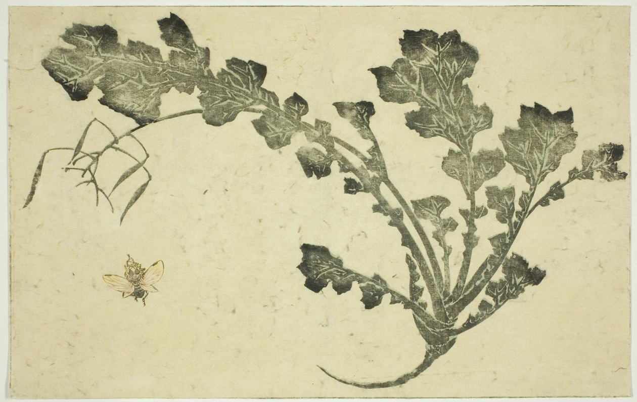 Yaban arısı ve şalgam sapı, "Hokusai