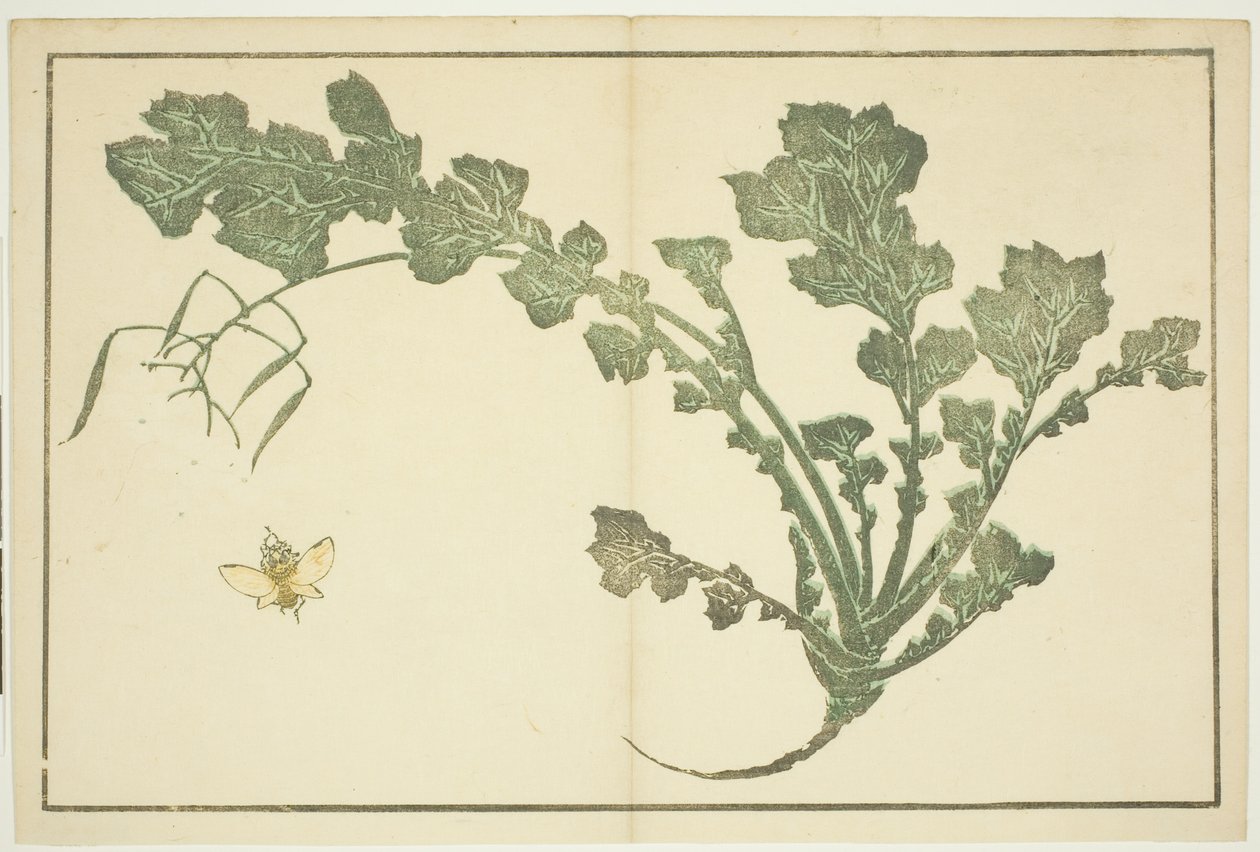Yaban arısı ve şalgam sapı, "Hokusai'nin Gerçekçi Tablolarının Resimli Kitabından (Hokusai shashin gafu)" by Katsushika Hokusai