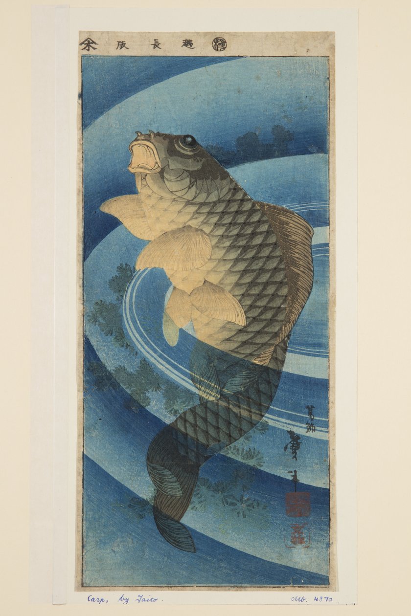 Sazan (renkli tahta baskı) by Katsushika II (fl.1820 50) Taito