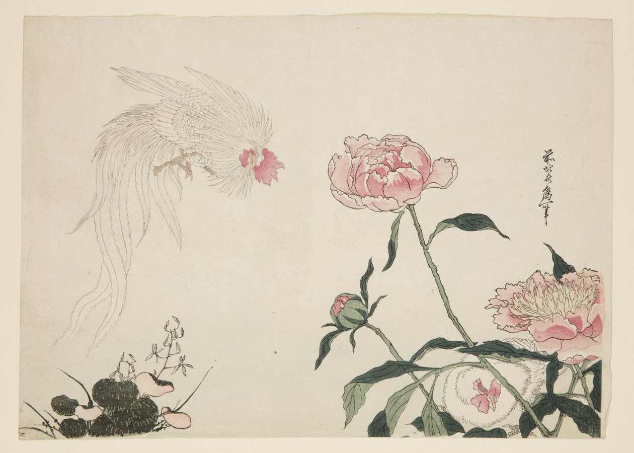 Çiçeklerin Arasında Uzun Kuyruklu Horozlar (renkli tahta baskı) by Katsushika II (fl.1820 50) Taito