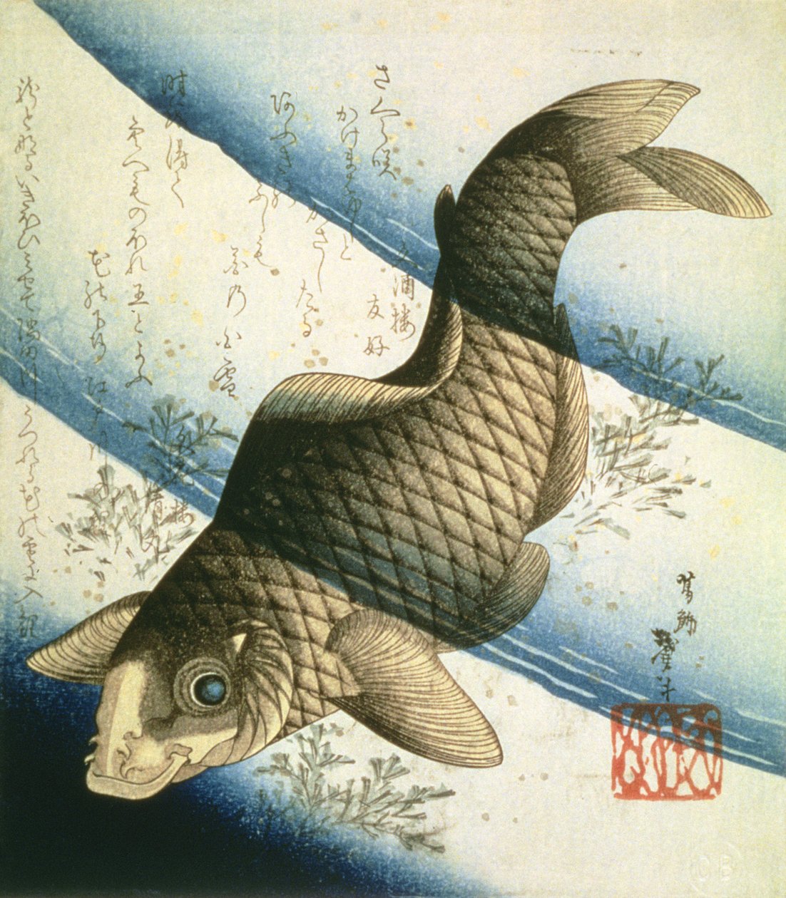 Su Otları Arasında Yüzen Bir Sazan, 1832 dolayları (mürekkep) by Katsushika II Taito