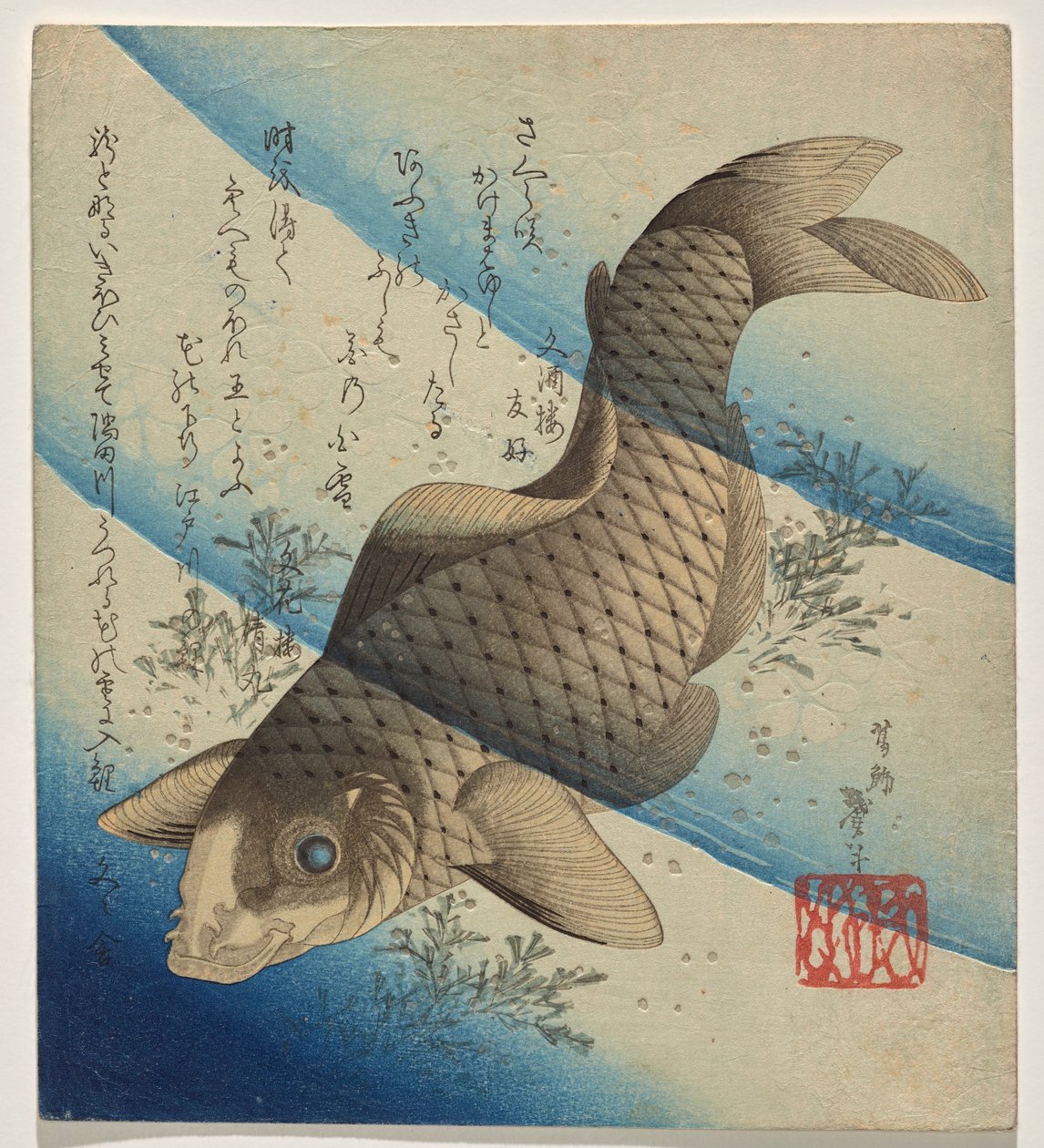 Deniz yosununda yüzen sazan by Katsushika Taito II