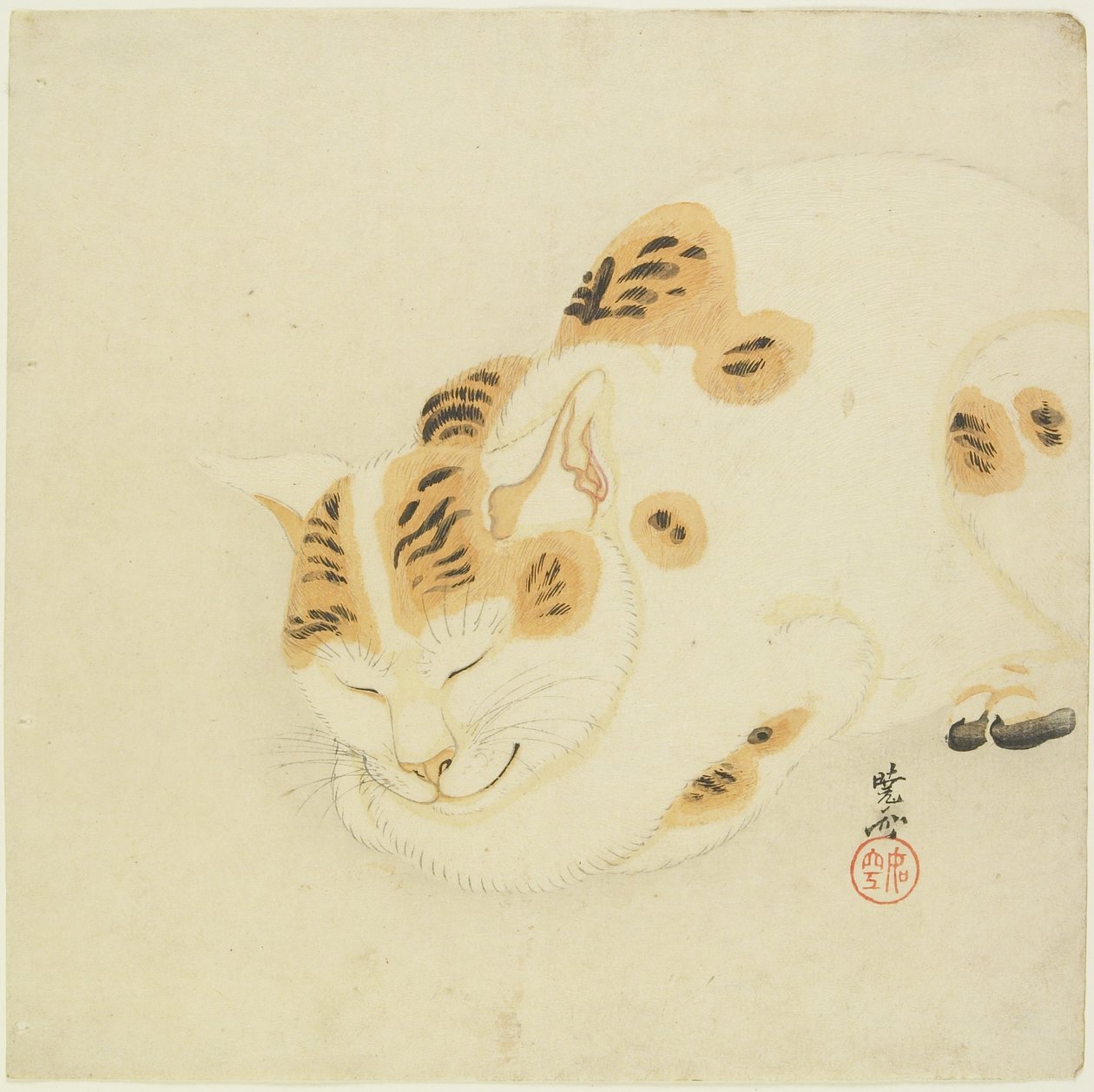uyuyan kedi by Kawanabe Kyosai