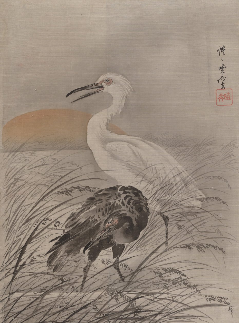 Marsh