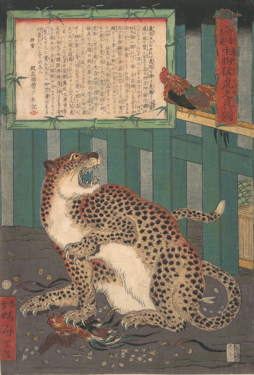 Daha Önce Hiç Görülmemiş: Canlı Vahşi Kaplanın Gerçek Resmi..., altıncı ay 1860. by Kawanabe Kyosai