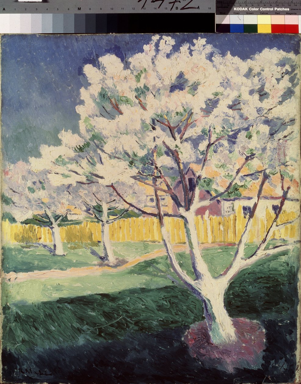 Yaz Manzarası. Kasimir Severinovich Malevich