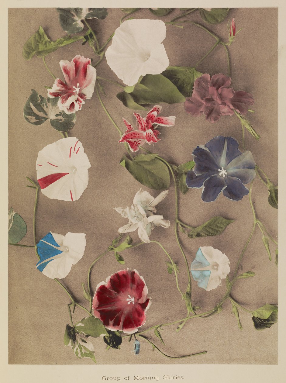  by Kazumasa Ogawa