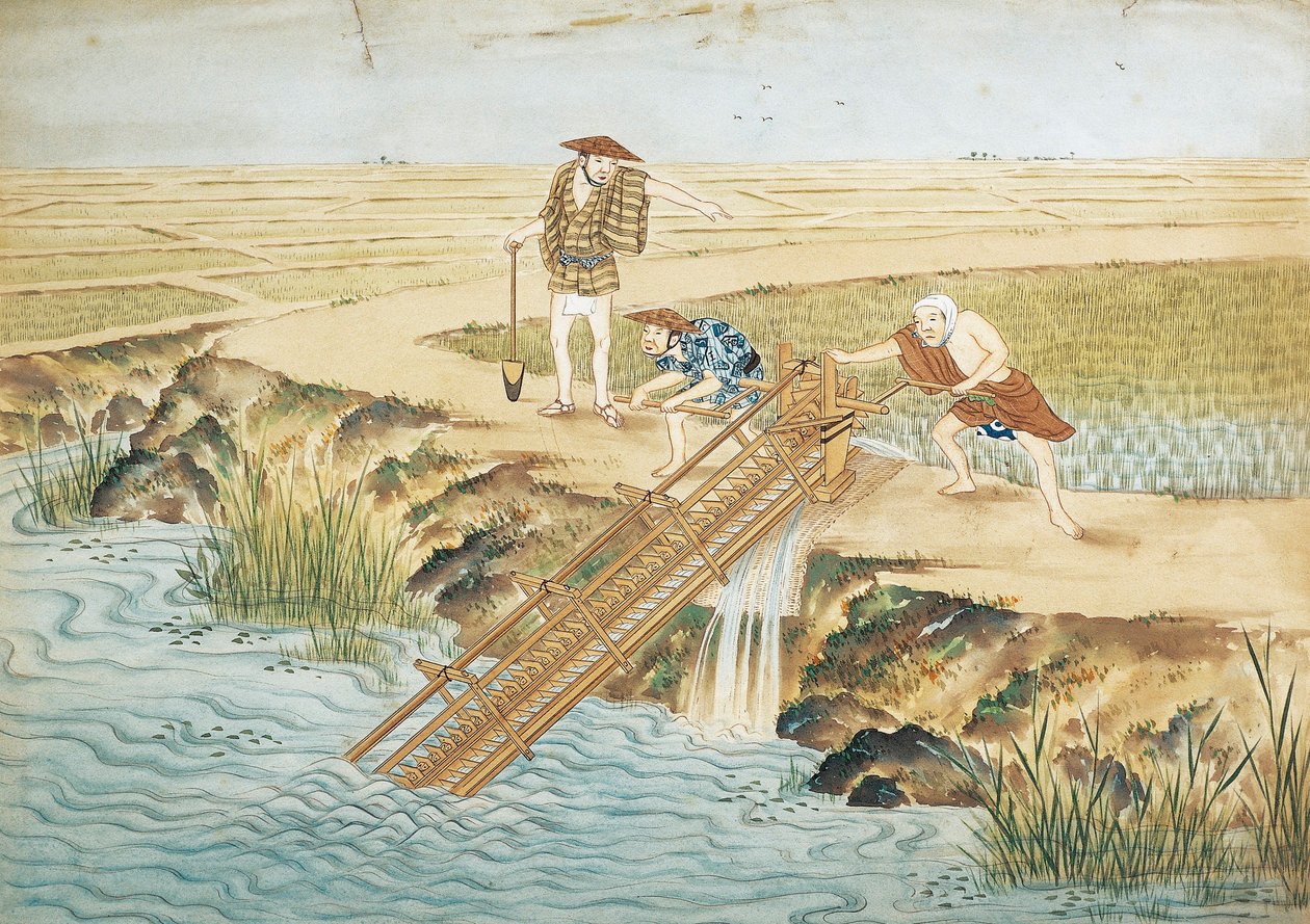 Hollanda, Leiden, Pirinç tarlalarında çalışmak by Keiga Kawahara