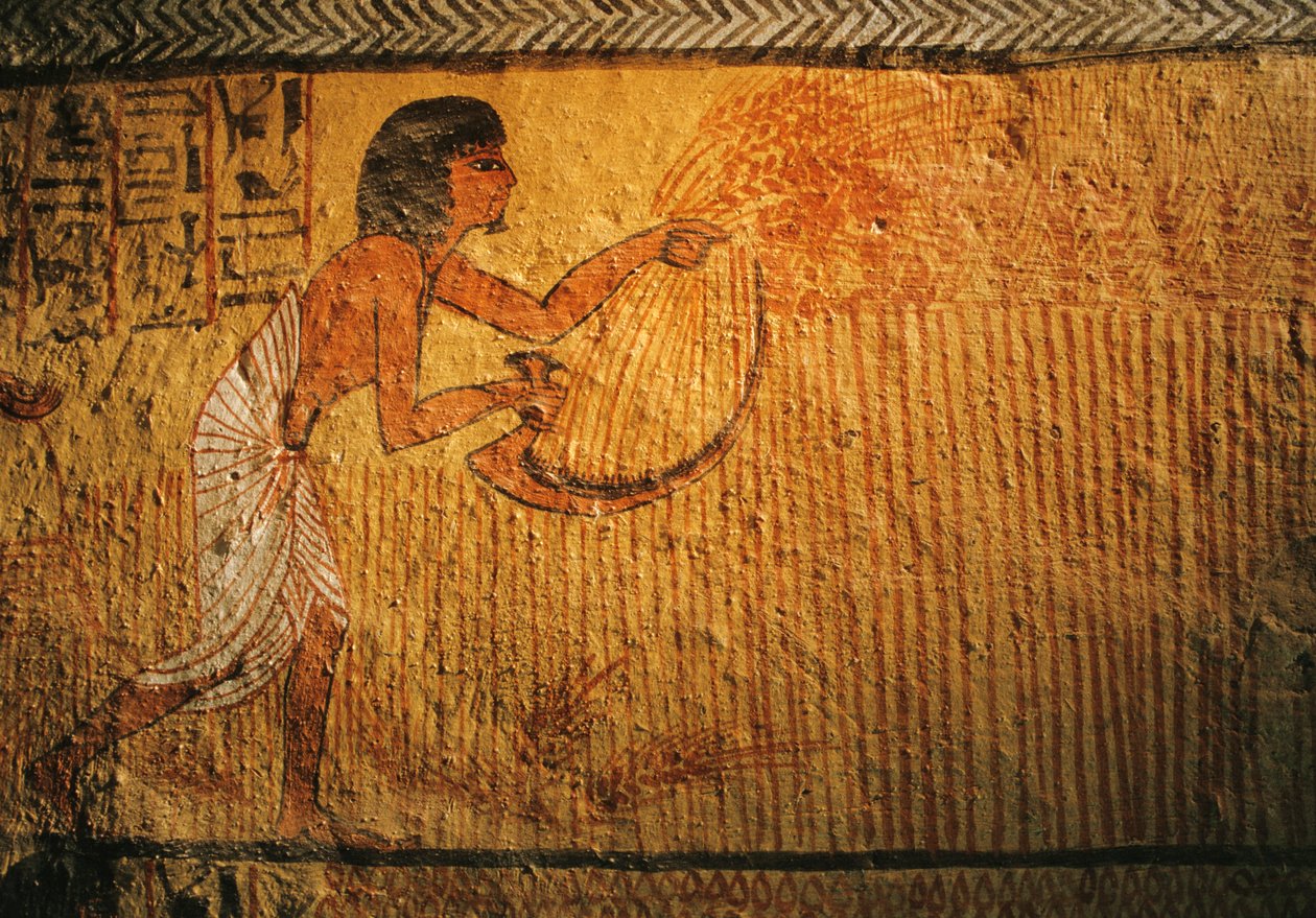 Buğday hasadı resmi, Sennedjem Türbesi, Deir el Medina, 2003 (fotoğraf) by Kenneth Garrett