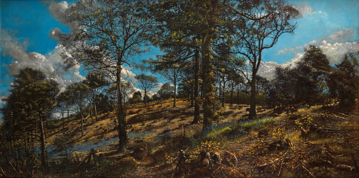 Bigbury Wood (tuval üzerine yağlı boya) by Kenneth Newton