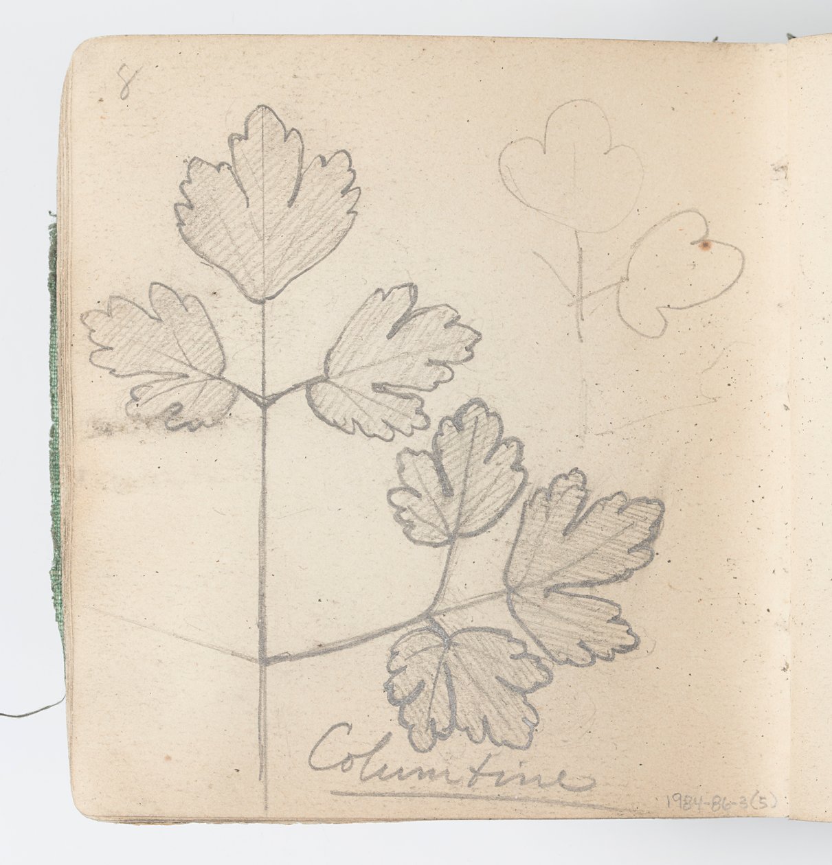 Sketchbook Sayfası: Columbine by Kenyon Cox