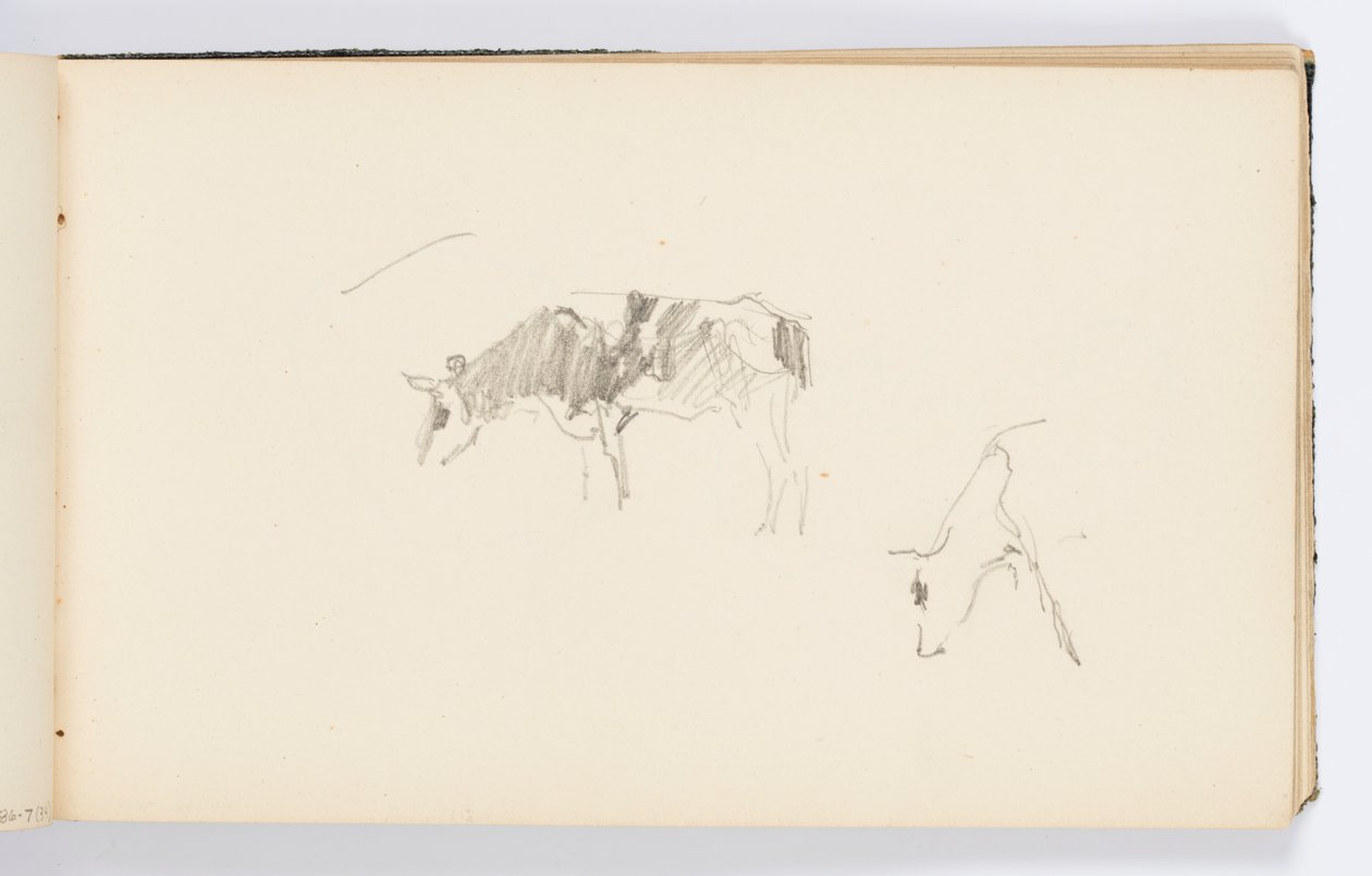 Sketchbook Sayfası: Otlayan İnekler by Kenyon Cox