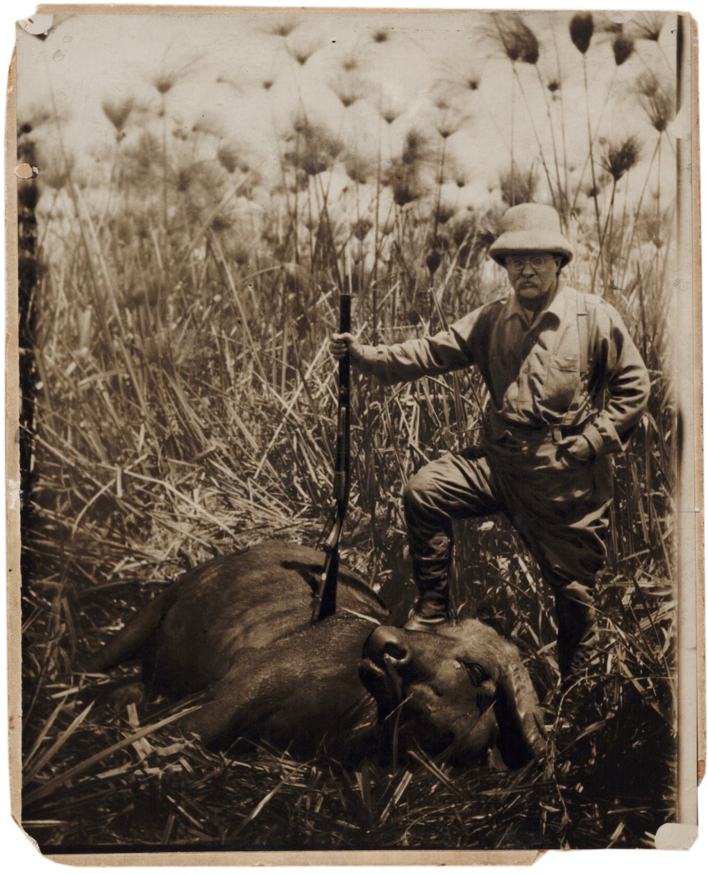 Albay Roosevelt vurduğu bir mandanın yanında duruyor (sepya fotoğrafı) by Kermit Roosevelt