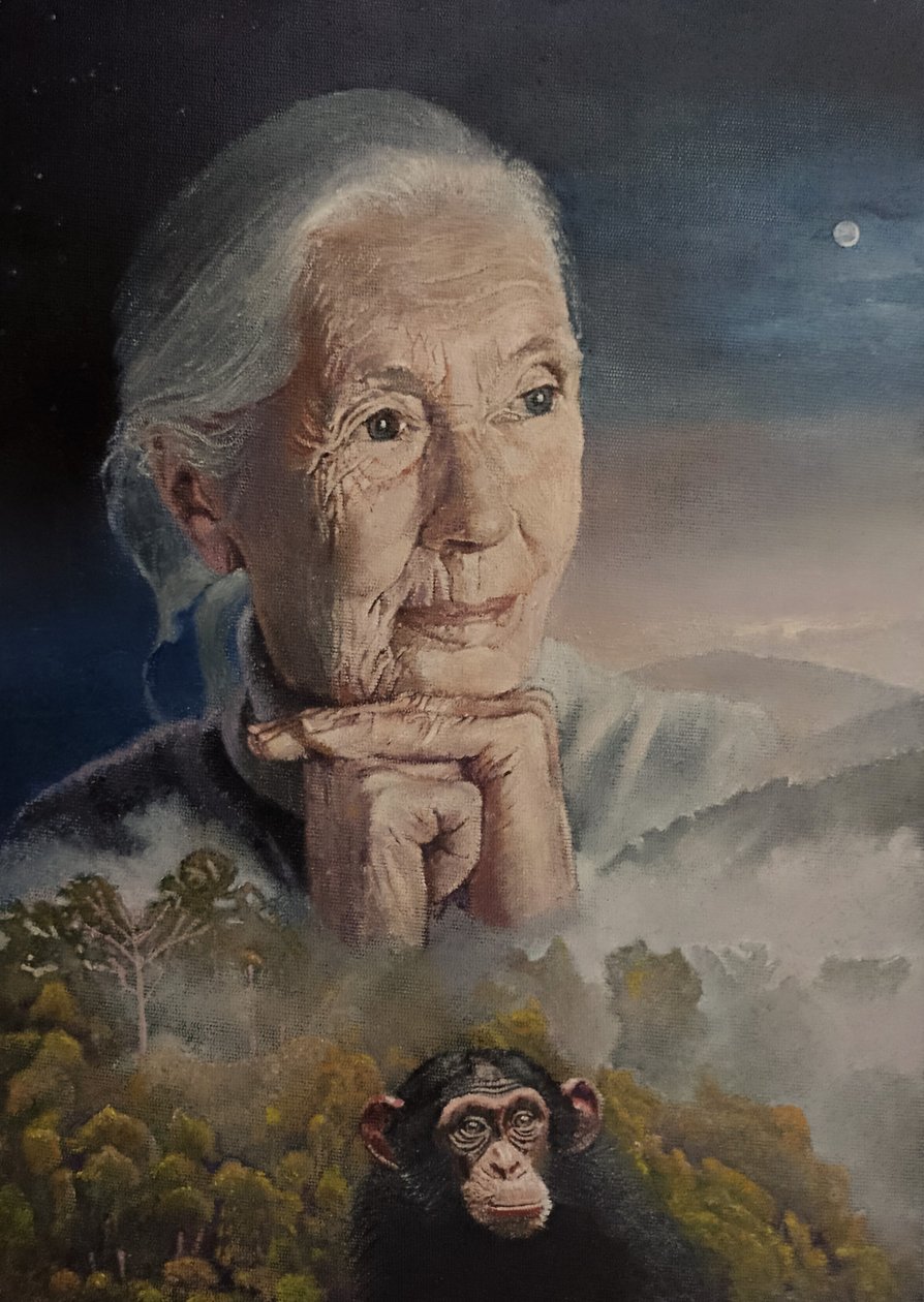 Hepimiz Bağlantılıyız (Jane Goodall'ın Bilgeliği) (resim) by Kevin Parrish