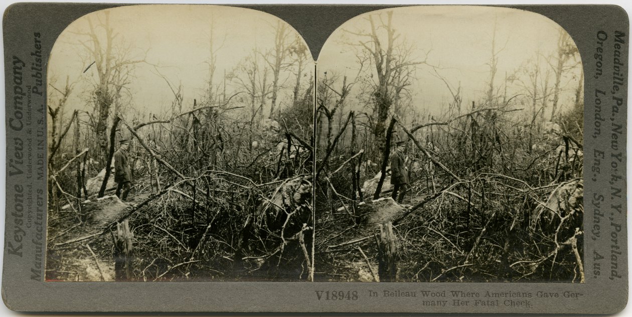 Yıkılmış ağaçlarla kaplı bir alanda yürüyen üniformalı bir adamı gösteren yatay, sepya stereokart. Keystone Stereograf numarası V18948. başlık okur by Keystone View Company