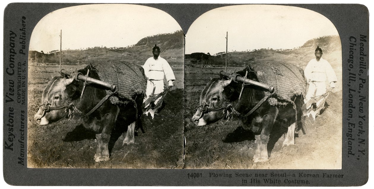 Seul yakınlarında çiftçilik, Güney Kore, 1900