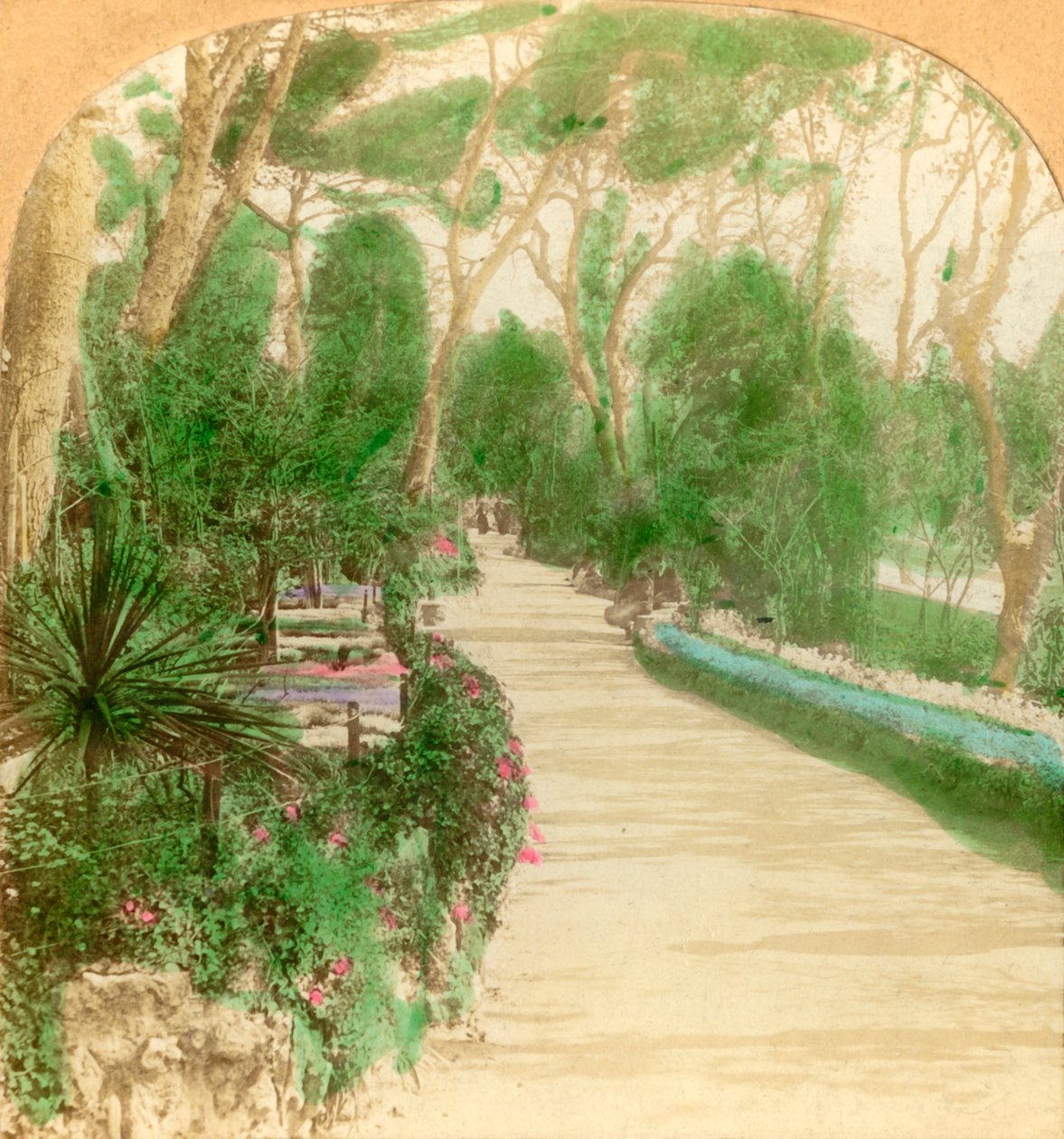 Gezinti Yolu, Alameda Bahçesi, Cebelitarık Kayası, 1896. by Keystone View Company