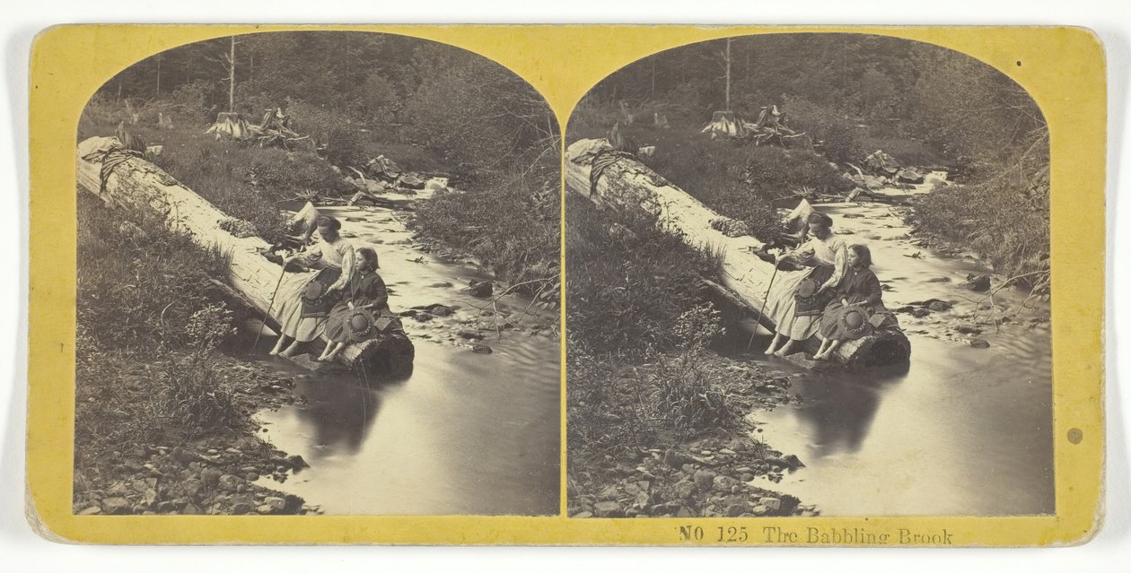 The Babbling Brook, 185575. Yaratıcılar: Kilburn Brothers, BW Kilburn. by Kilburn Brothers, BW Kilburn