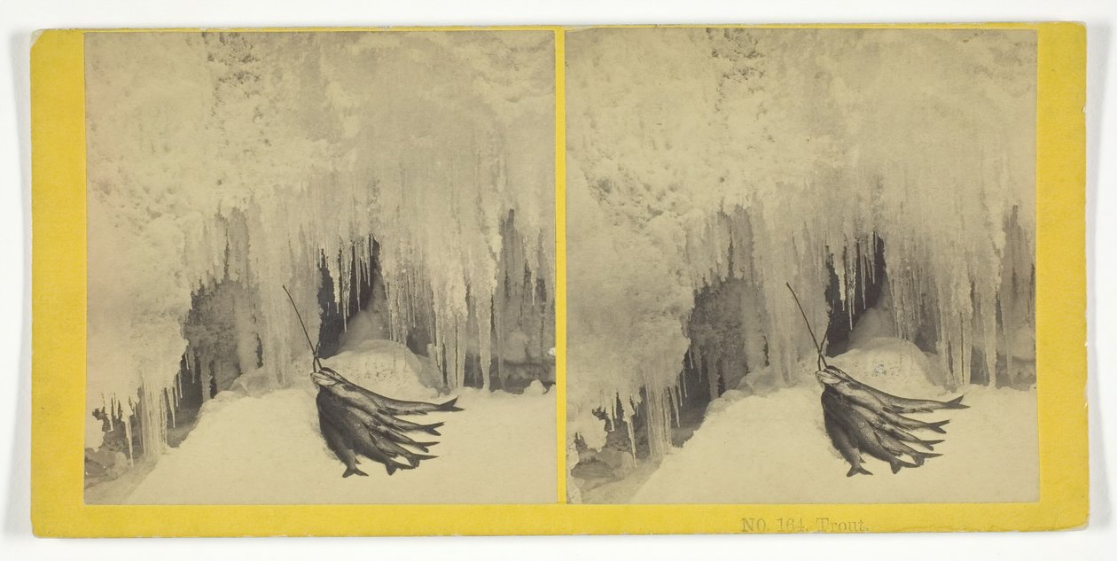 Alabalık, 185575. Yaratıcılar: Kilburn Brothers, BW Kilburn. by Kilburn Brothers, BW Kilburn