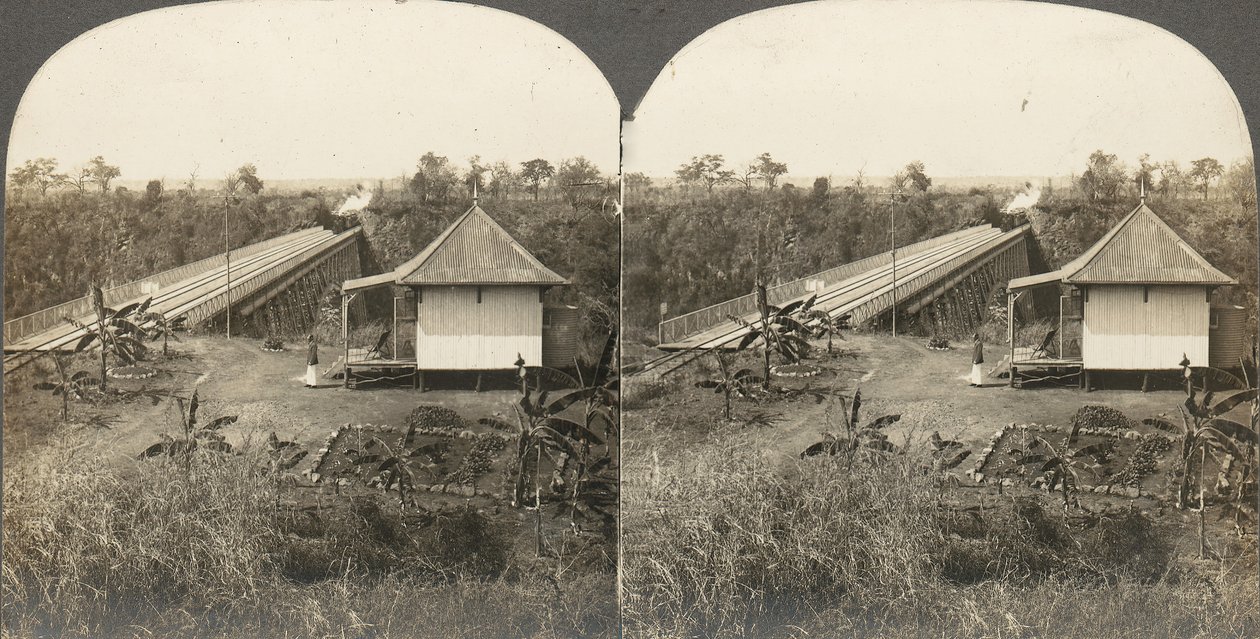Afrika ve Aktörlerin 14 stereografı grubu, 1850