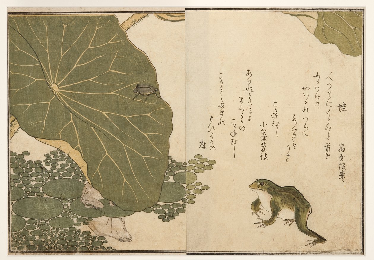Kurbağalar ve altın böcek böceği, 1788 (tahta blok) by Kitagawa Utamaro