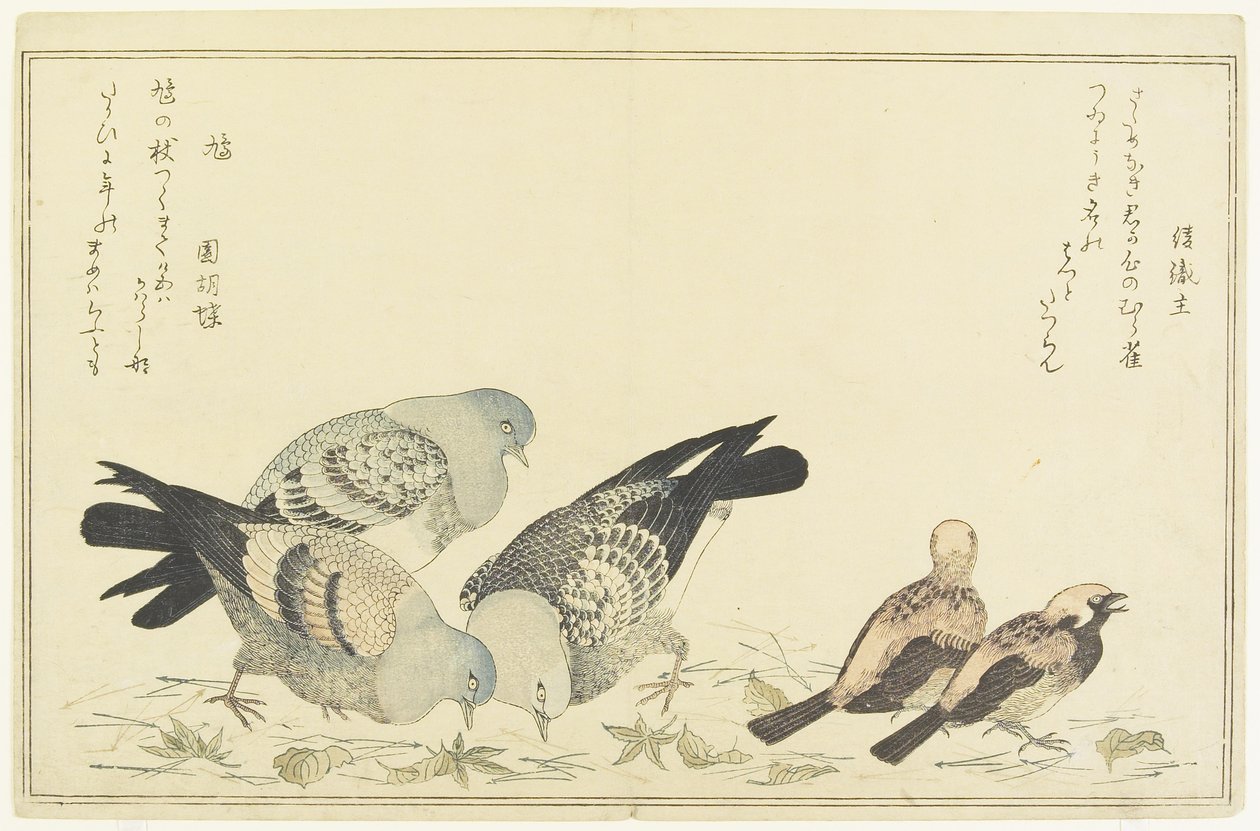 Ağaç Serçesi ve Kaya Güvercini, c. 1790 by Kitagawa Utamaro