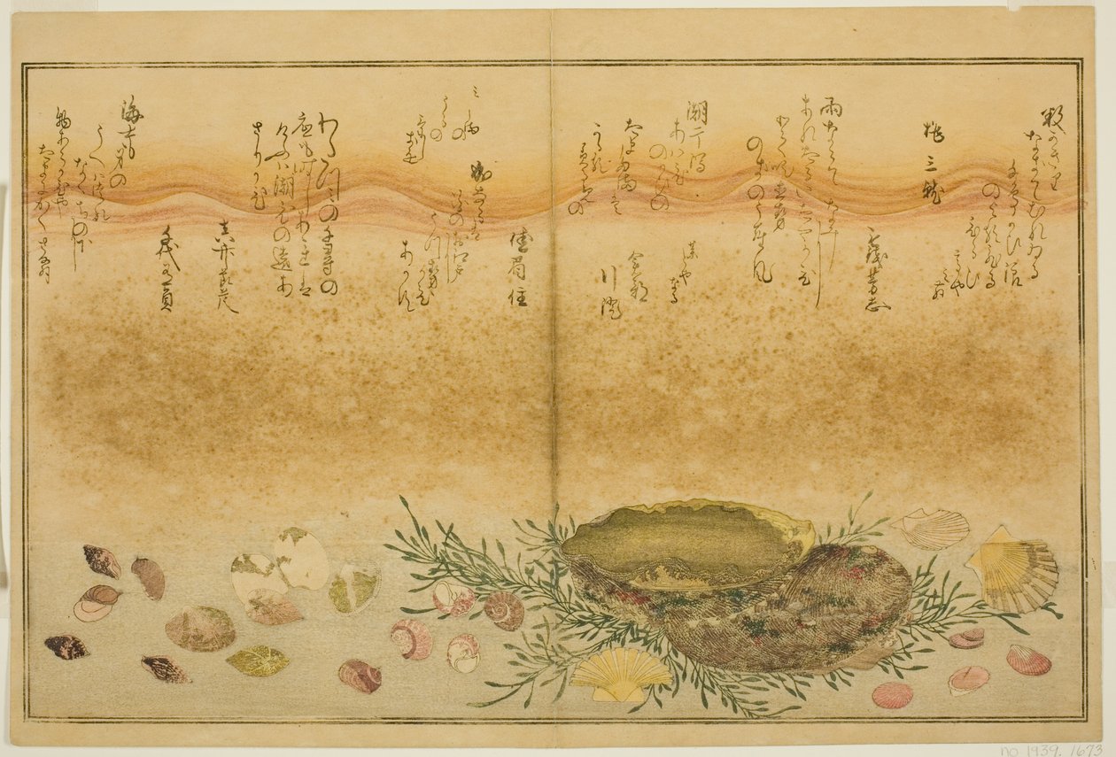 Chidori-dışarı, ağrı-dışarı, abalone, transfer-dışarı, asari-dışarı, plan d kişi Allah, k "tekniği fts te eh b zemin (gelgit kurutma) Bract) ” by Kitagawa Utamaro