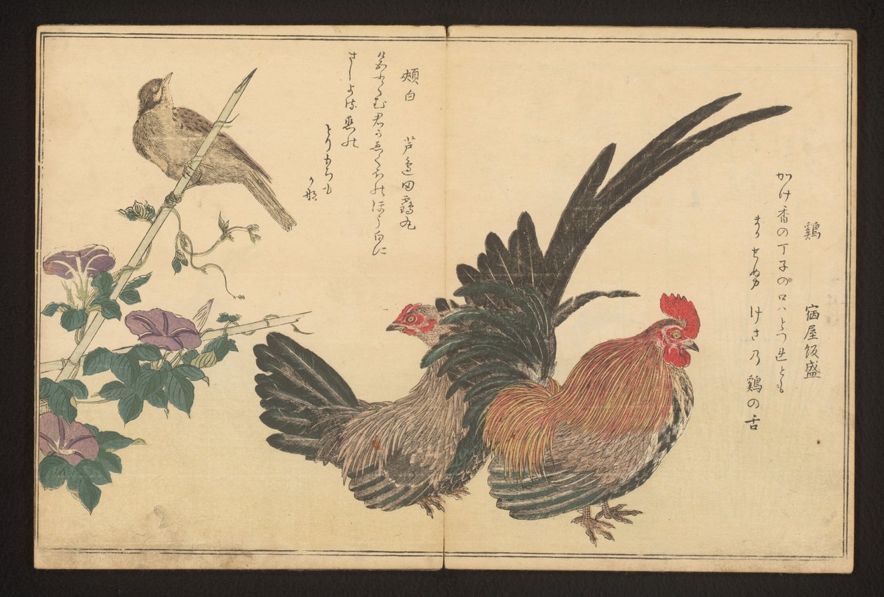 horoz ve kiraz kuşu by Kitagawa Utamaro