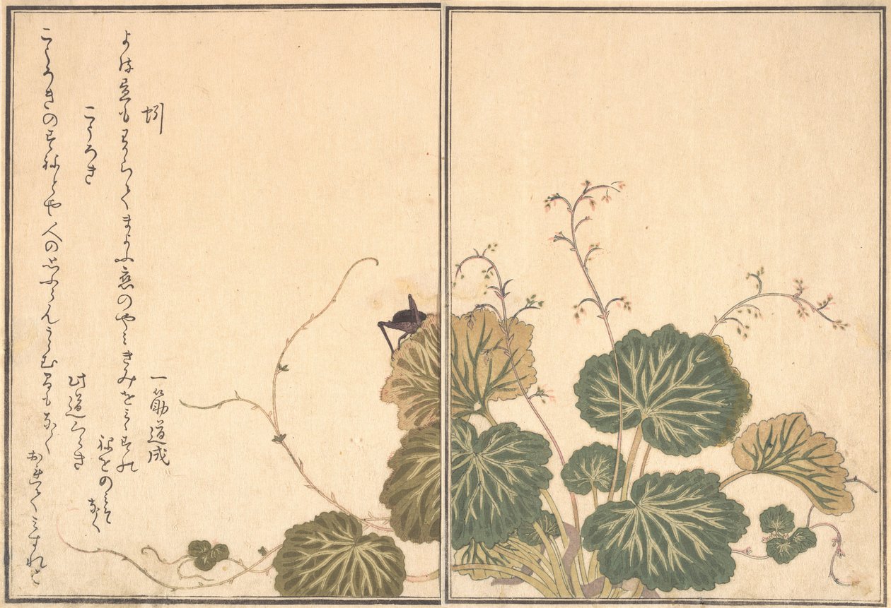 Solucan Mimizu, Cricket Korogi..., 1788. by Kitagawa Utamaro