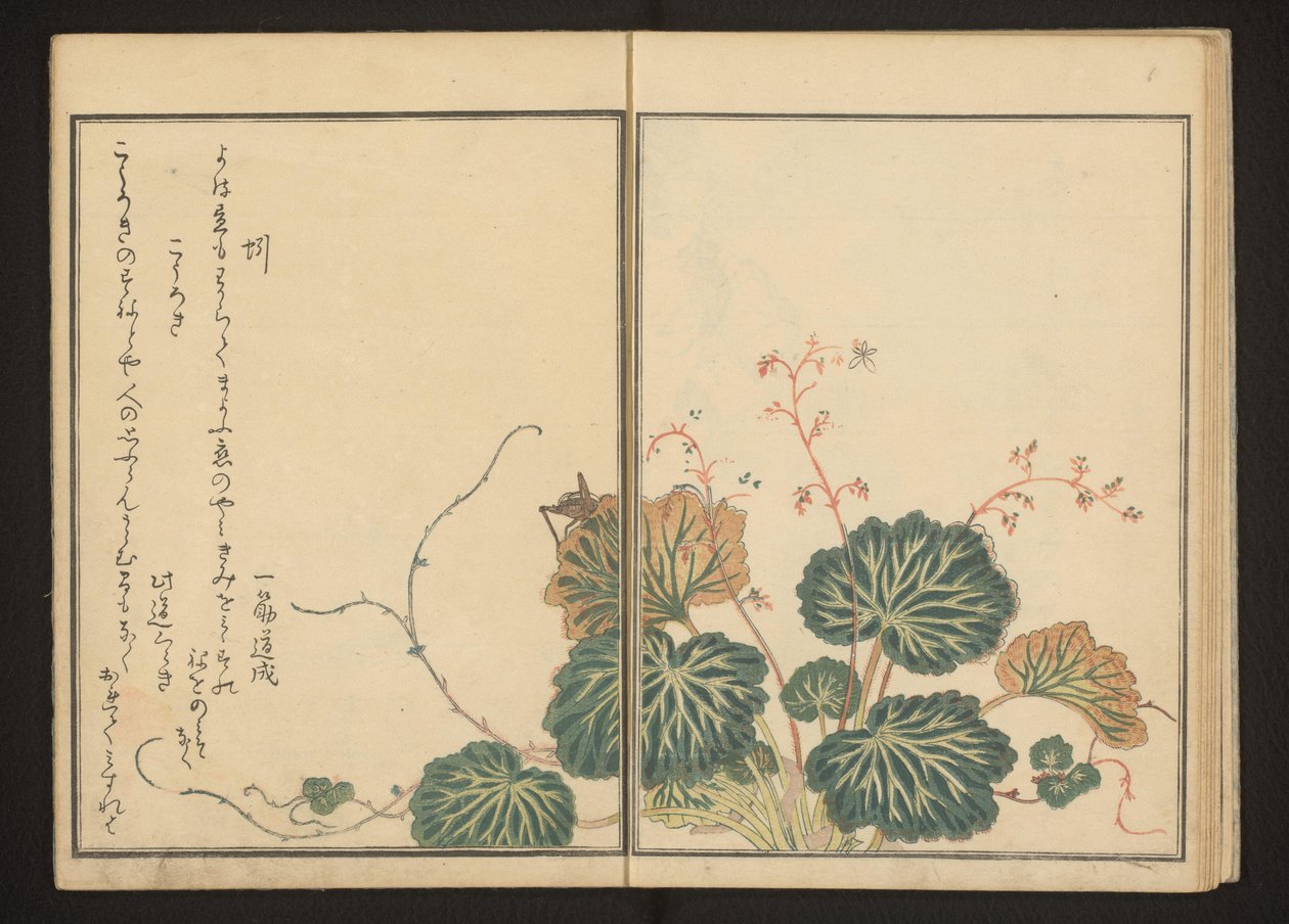 Solucan ve siyah cırcır böceği üzerinde sürünen taş kırlangıçotu by Kitagawa Utamaro