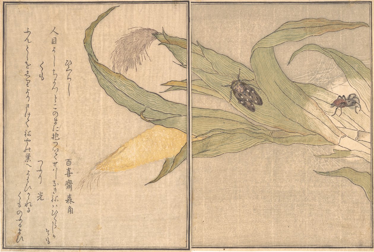 Resim Ve insanlar g Dental, Higurashi, S day r, Clouds. .. .. , 1788. by Kitagawa Utamaro