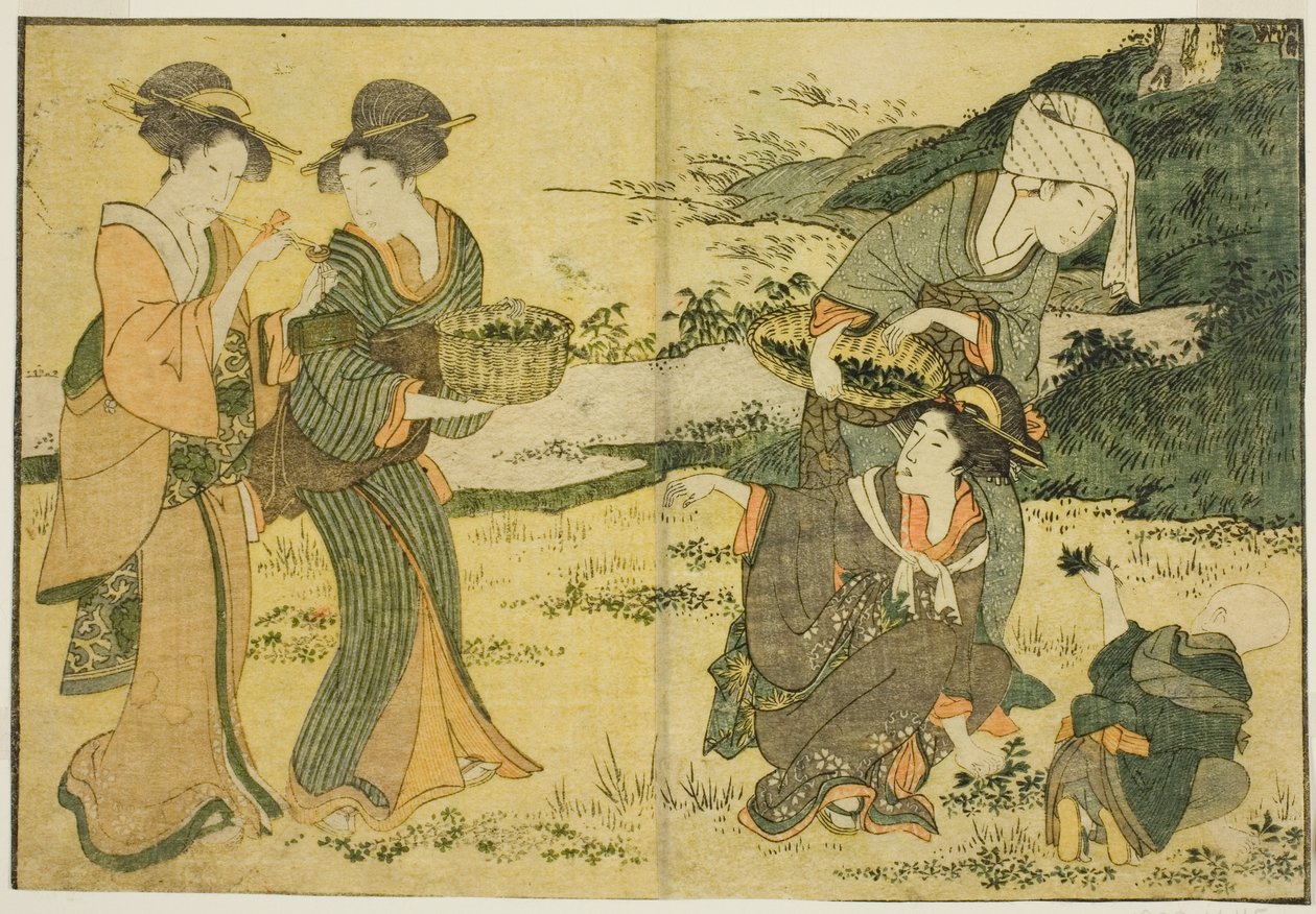 Bahar Otlarının Toplanması, resimli kitaptan "Resimli Kitap: Dört Mevsim Çiçekleri (Ehon shiki no hana)," cilt. 1 by Kitagawa Utamaro