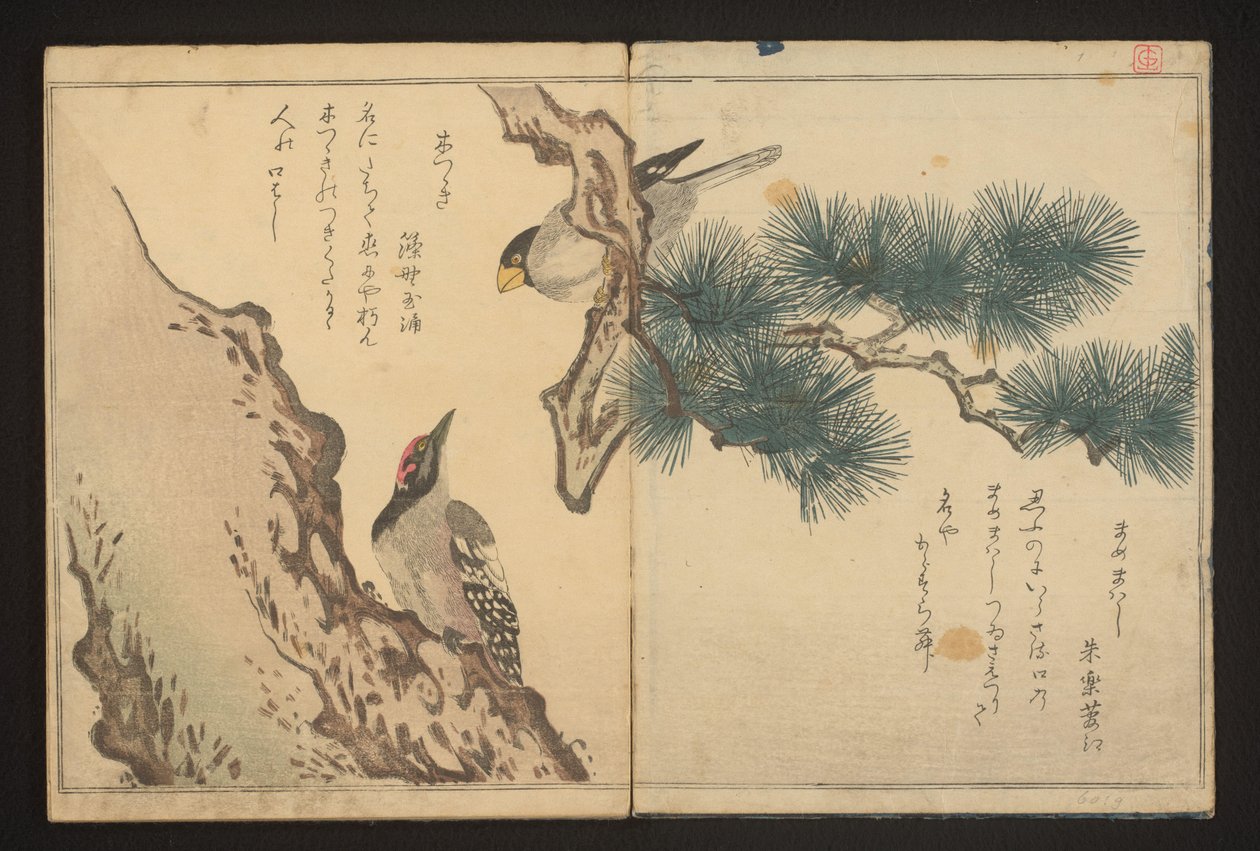 Grosbeak ve ağaçkakan by Kitagawa Utamaro