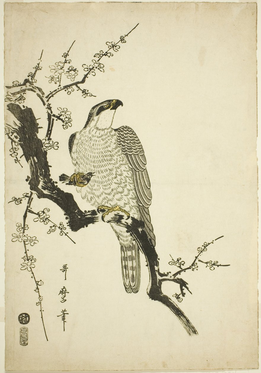 Erik dalı üzerinde şahin by Kitagawa Utamaro