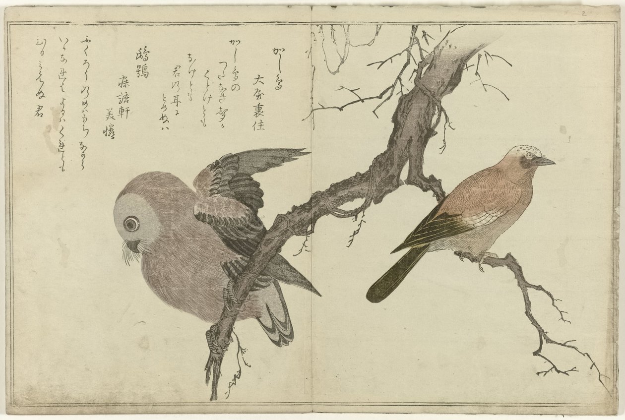 Jay ve baykuş by Kitagawa Utamaro
