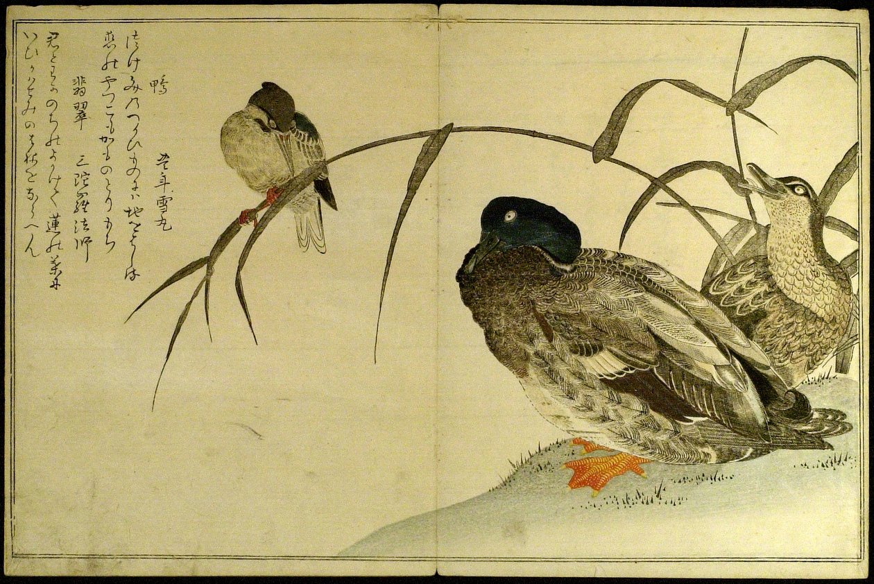  by Kitagawa Utamaro