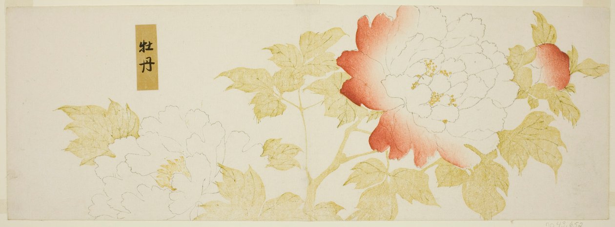 şakayık by Kitagawa Utamaro