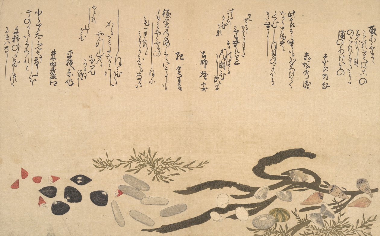 Su Altındaki Kabuklar, 1790. by Kitagawa Utamaro