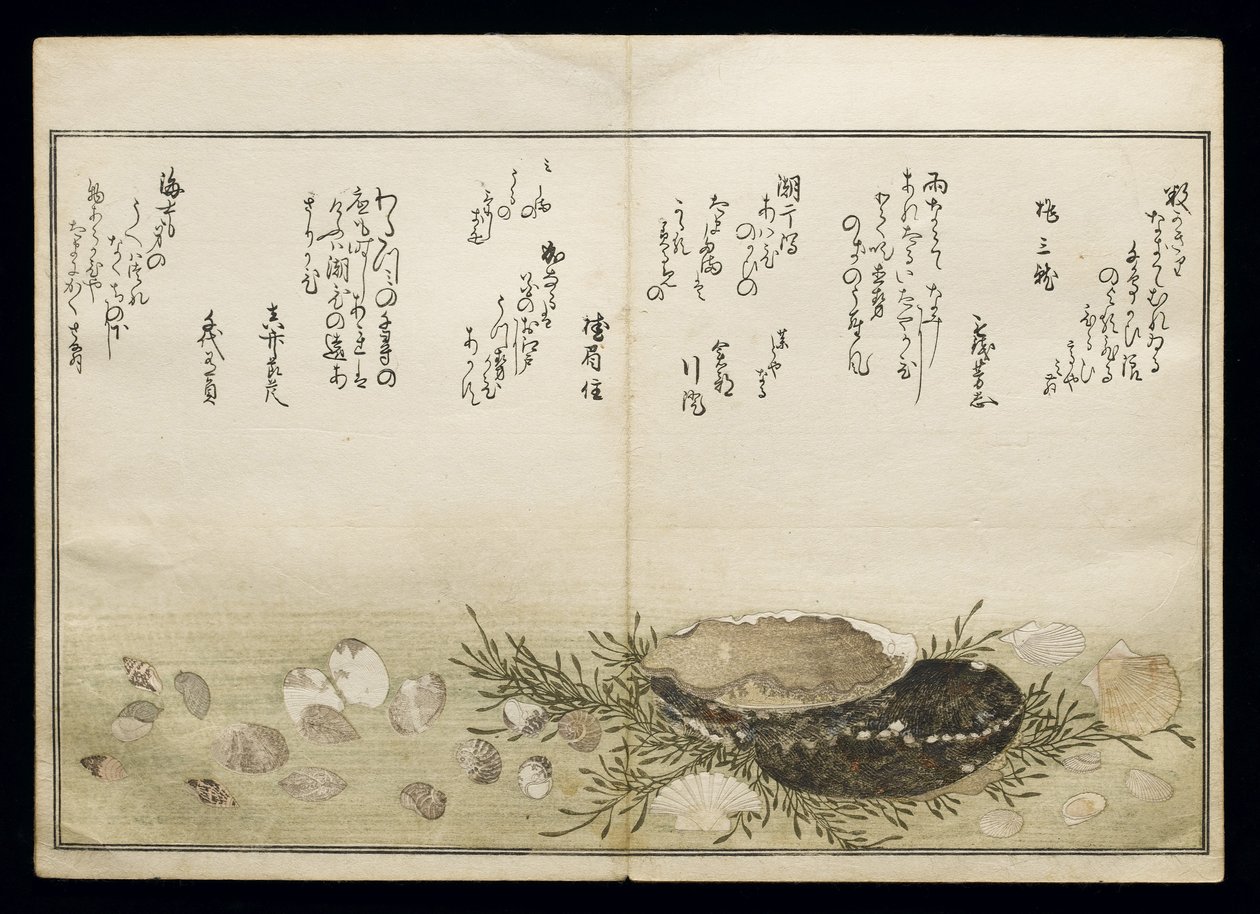 Shell Book olarak bilinen Shiohi no tsuto (Gelgitten Gelen Hediyeler), 1789 (renkli tahta baskı) by Kitagawa Utamaro
