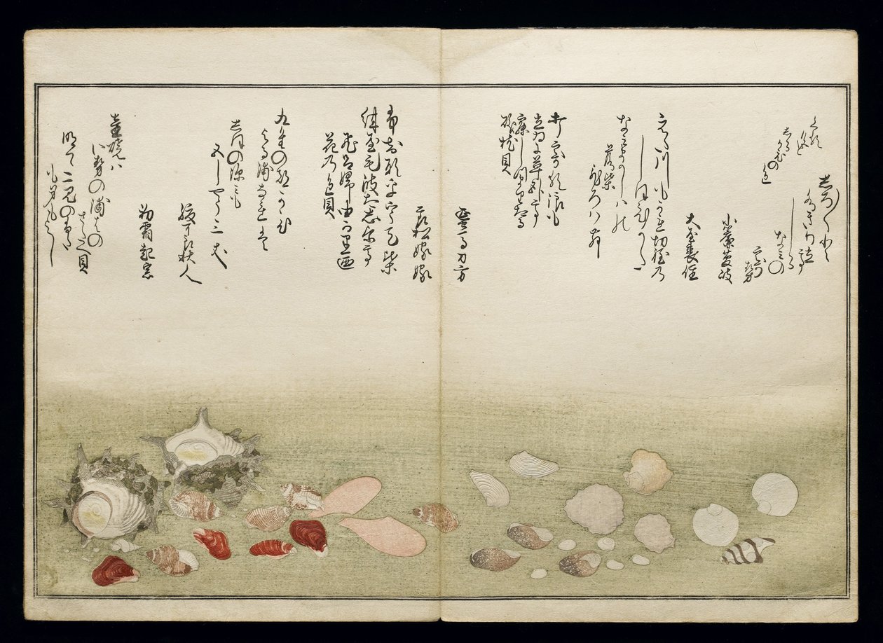 Shell Book olarak bilinen Shiohi no tsuto (Gelgitten Gelen Hediyeler), 1789 (renkli tahta baskı) by Kitagawa Utamaro
