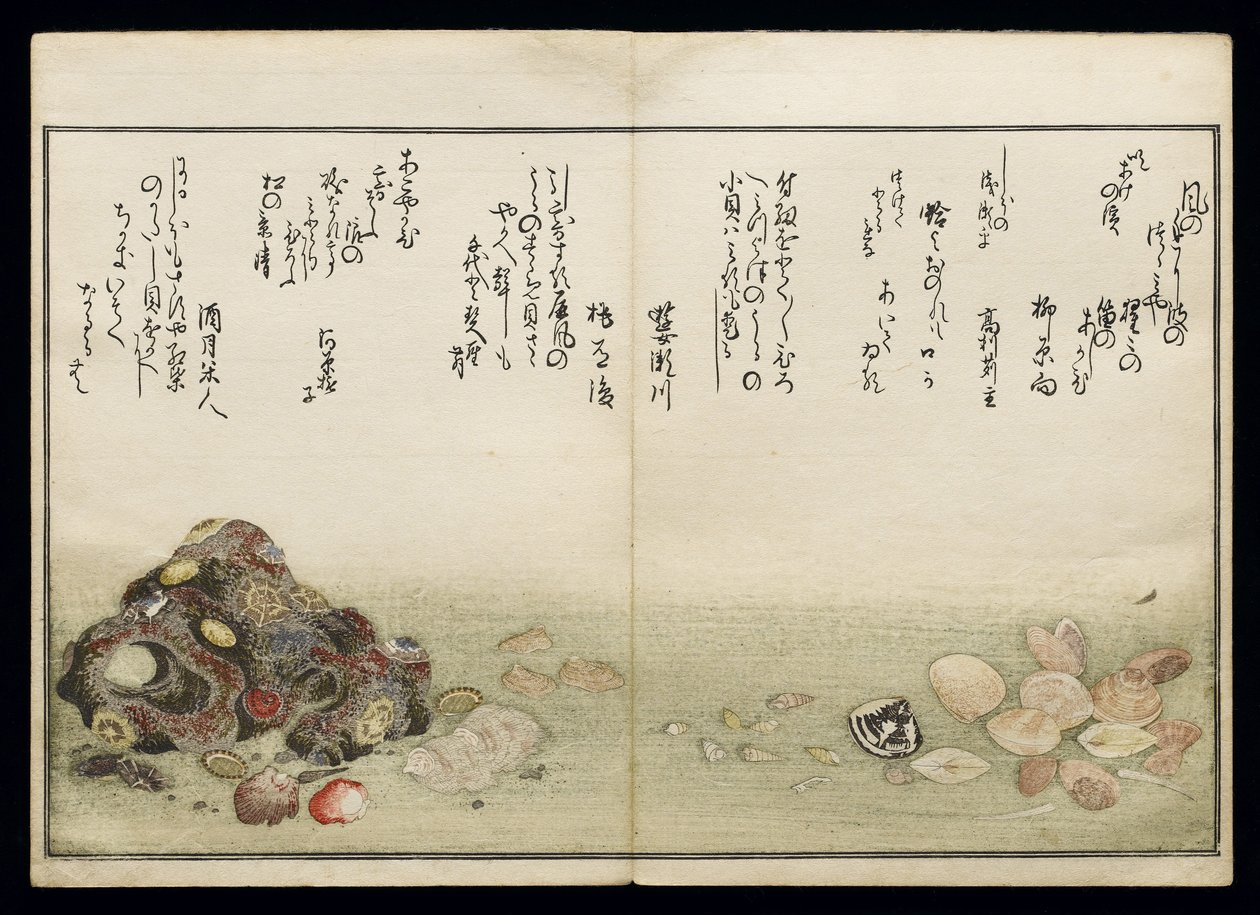 Shell Book olarak bilinen Shiohi no tsuto (Gelgitten Gelen Hediyeler), 1789 (renkli tahta baskı) by Kitagawa Utamaro
