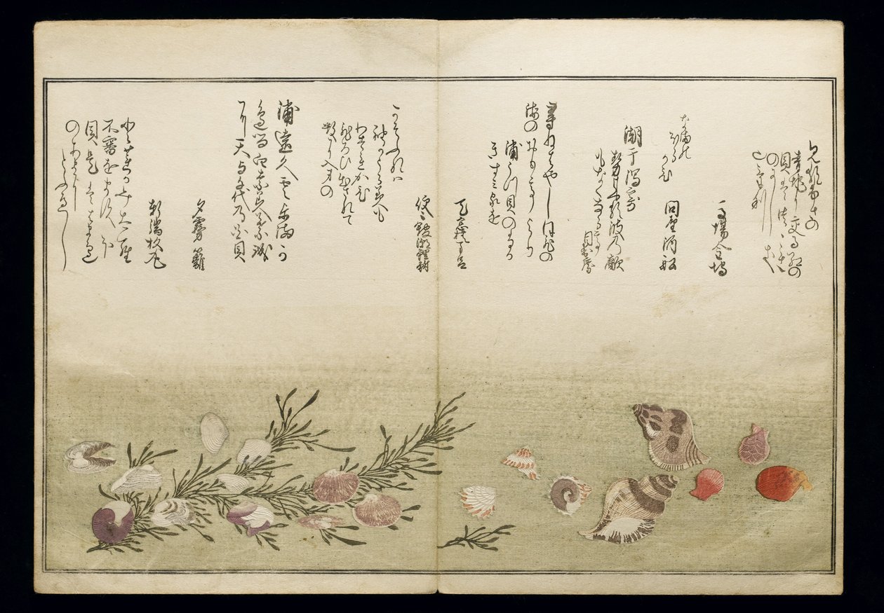 Shell Book olarak bilinen Shiohi no tsuto (Gelgitten Gelen Hediyeler), 1789 (renkli tahta baskı) by Kitagawa Utamaro