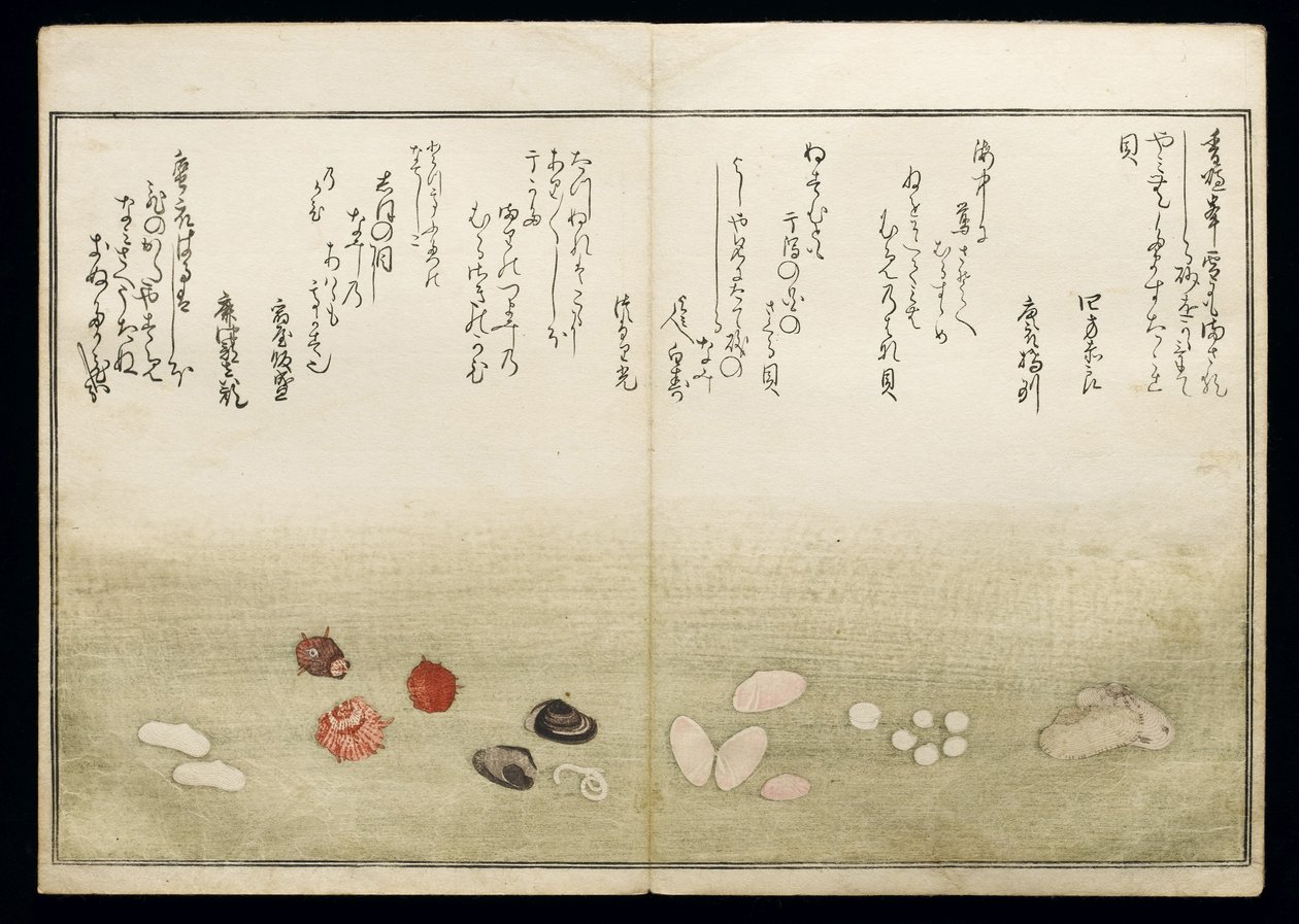 Shell Book olarak bilinen Shiohi no tsuto (Gelgitten Gelen Hediyeler), 1789 (renkli tahta baskı) by Kitagawa Utamaro